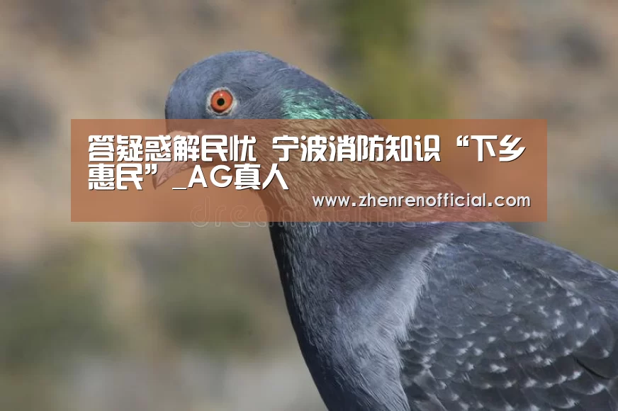 答疑惑解民忧 宁波消防知识“下乡惠民”_AG真人