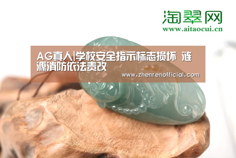 AG真人|学校安全指示标志损坏 涟源消防依法责改(图2) AG真人