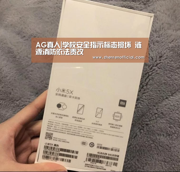 AG真人|学校安全指示标志损坏 涟源消防依法责改(图3) AG亚游真人平台