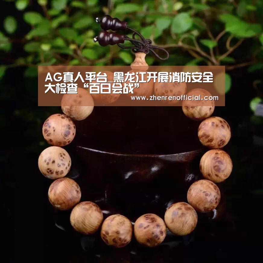AG亚游真人平台