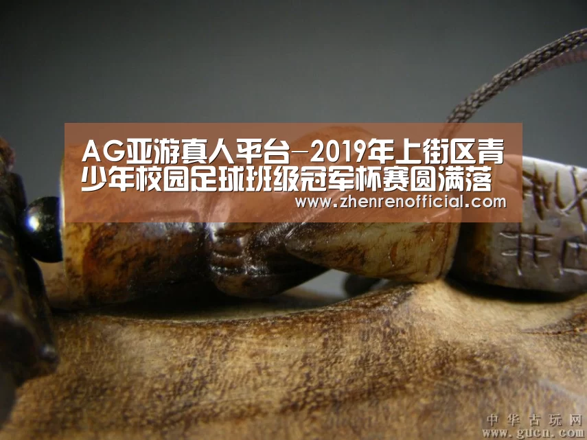 AG亚游真人平台-2019年上街区青少年校园足球班级冠军杯赛圆满落幕(图2) AG真人