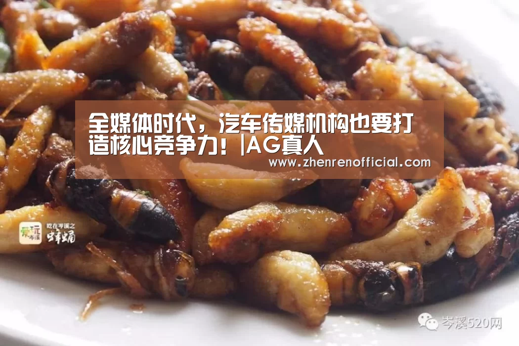 AG真人娱乐平台