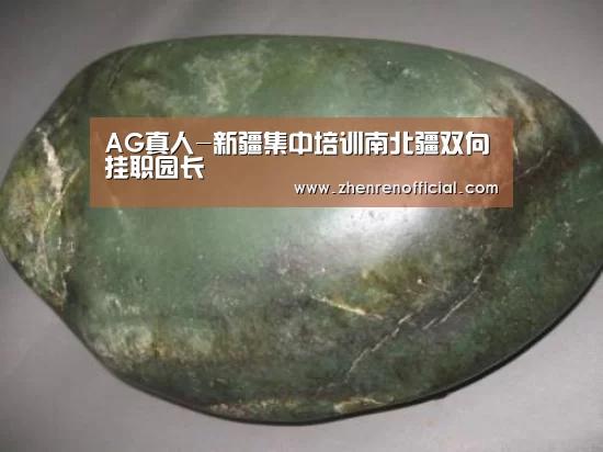 AG真人-新疆集中培训南北疆双向挂职园长(图1) AG真人