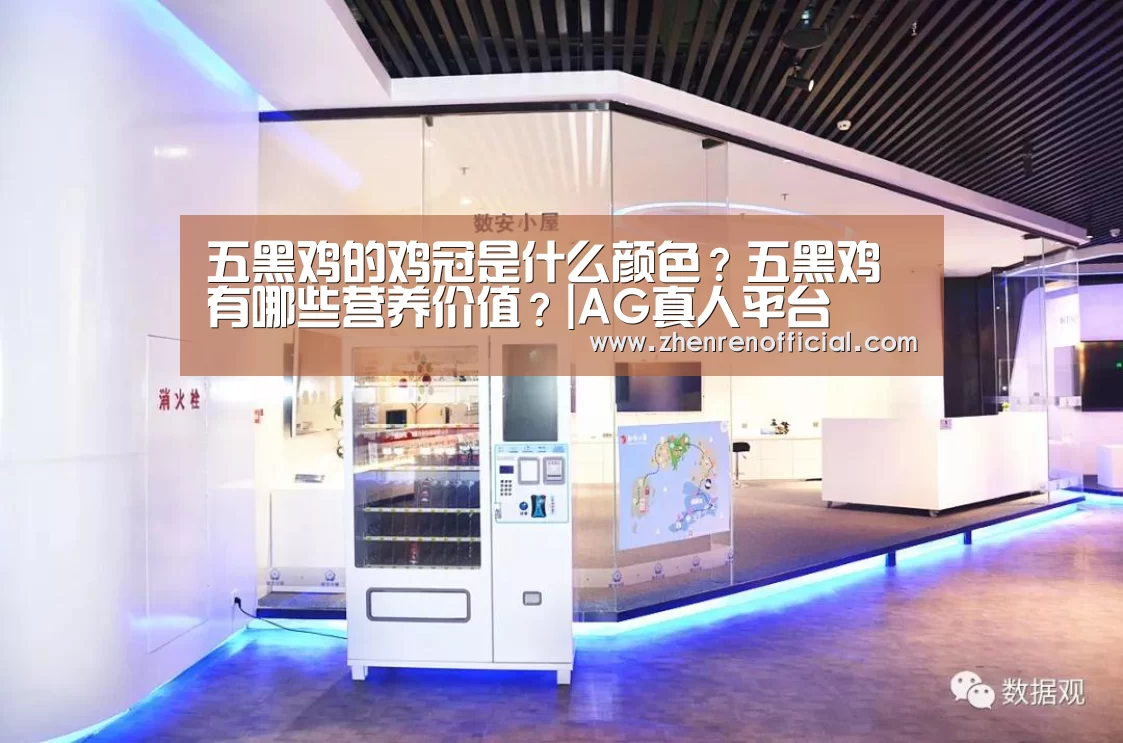 五黑鸡的鸡冠是什么颜色?五黑鸡有哪些营养价值?|AG真人平台(图1) AG亚游真人平台