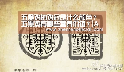 五黑鸡的鸡冠是什么颜色?五黑鸡有哪些营养价值?|AG真人平台(图2) AG亚游真人平台