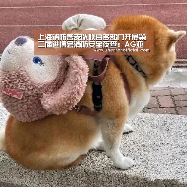 AG真人娱乐平台