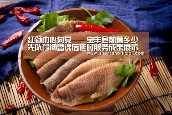 红领巾心向党——宝丰县前营乡少先队检阅暨课后延时服务成果展示活动“AG亚游真人平台”(图2) AG亚游真人平台